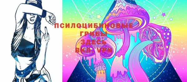 ешки Алексин