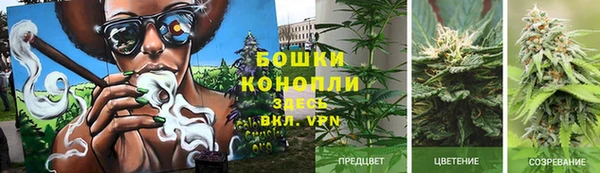 дурь Армянск