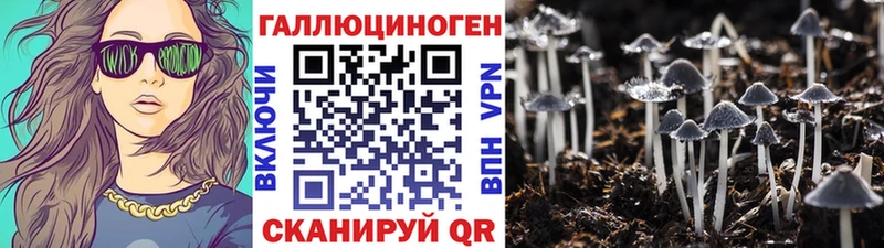 Псилоцибиновые грибы GOLDEN TEACHER  цена наркотик  Кочубеевское 